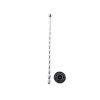 Insertable Penisstick Golovnin metaal 6mm 1 scaled Insertable Penisstick Golovnin metaal 6mm 1 scaled