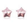 Pinch Boudoir Star Sparkling Tepelversiering Roze Ster 987101576