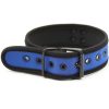 Banoch Lindo Collar Azul Neoprene halsband blauw neopreen puppy play 987101845 4