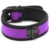 Banoch Lindo Collar Morado Neoprene halsband paars neopreen puppy play 987101841 2 Banoch Lindo Collar Morado Neoprene halsband paars neopreen puppy play 987101841 2
