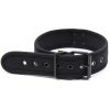 Banoch Lindo Collar Negro mesh Neoprene halsband zwart mesh neopreen puppy play 98710871 4