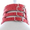 Banoch Collar Leash Flamboyante Red rode pu leren halsband met riem 987101785 4 Banoch Collar Leash Flamboyante Red rode pu leren halsband met riem 987101785 4