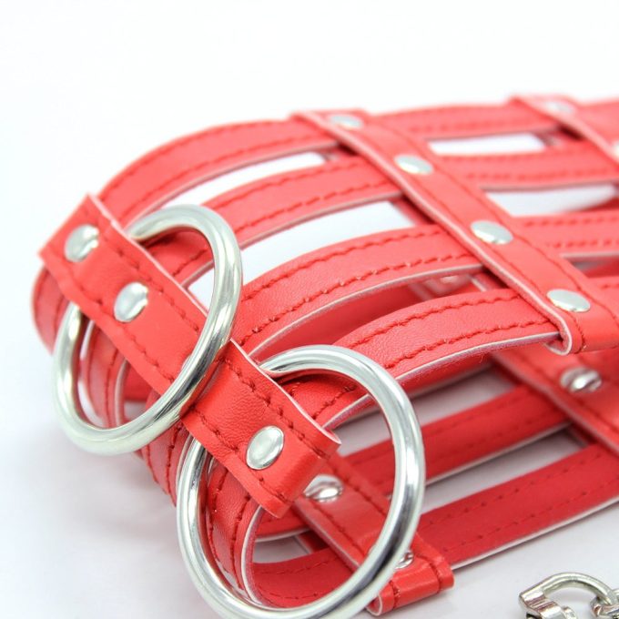 Banoch Collar Leash Flamboyante Red rode pu leren halsband met riem 987101785 6 Banoch Collar Leash Flamboyante Red rode pu leren halsband met riem 987101785 6