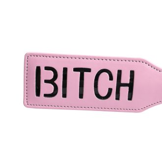 Banoch Paddle Pink Bitch 987102202 4 scaled scaled