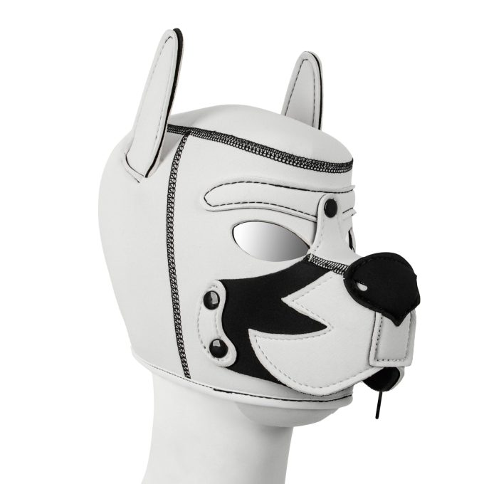 Banoch Lindo Perrito Neoprene honden masker puppy vlam wit 987102344 2 scaled scaled Banoch Lindo Perrito Neoprene honden masker puppy vlam wit 987102344 2 scaled scaled