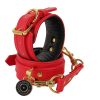 Banoch handboeien van pu leer rood goud bondage 987102334 1 scaled scaled Banoch handboeien van pu leer rood goud bondage 987102334 1 scaled scaled