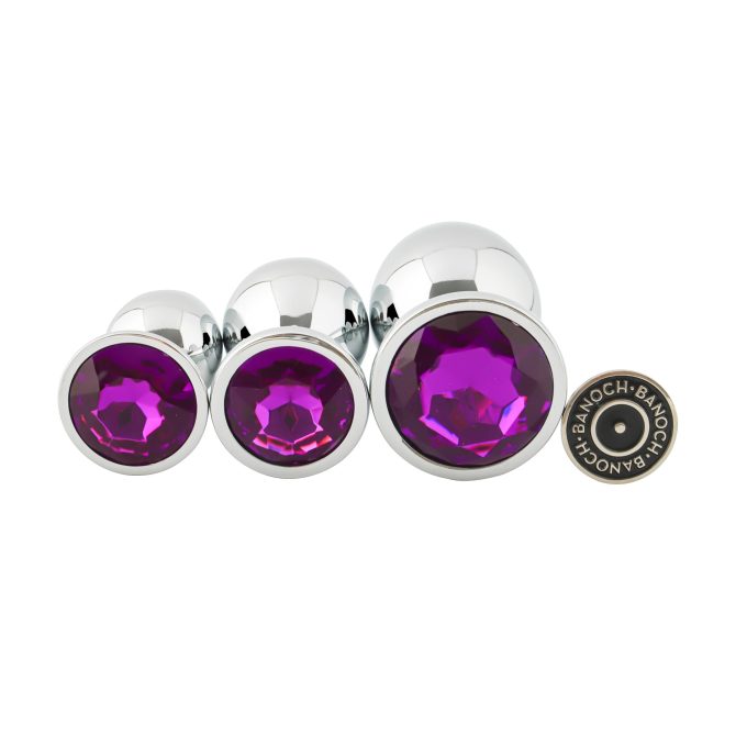 Banoch 3 maten zilveren metalen Buttpluggen met paarse Diamant maat smallmedium large. Aurora scaled scaled
