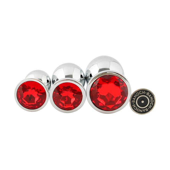 Banoch 3 maten zilveren metalen Buttpluggen met rode Diamant maat smallmedium large. Aurora scaled scaled