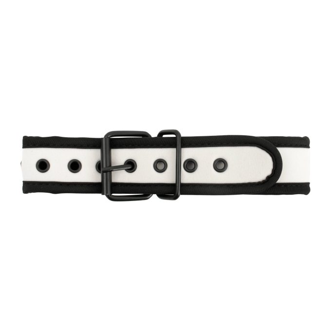 Banoch Lindo Collar Blanco Neoprene halsband wit neopreen puppy play 2 scaled scaled Banoch Lindo Collar Blanco Neoprene halsband wit neopreen puppy play 2 scaled scaled