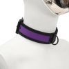 Banoch Lindo Collar Morado Neoprene halsband paars neopreen puppy play 3 scaled scaled Banoch Lindo Collar Morado Neoprene halsband paars neopreen puppy play 3 scaled scaled