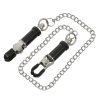 Pinch Pinces de F. Tepelklem verstelbaar ketting 5 scaled scaled