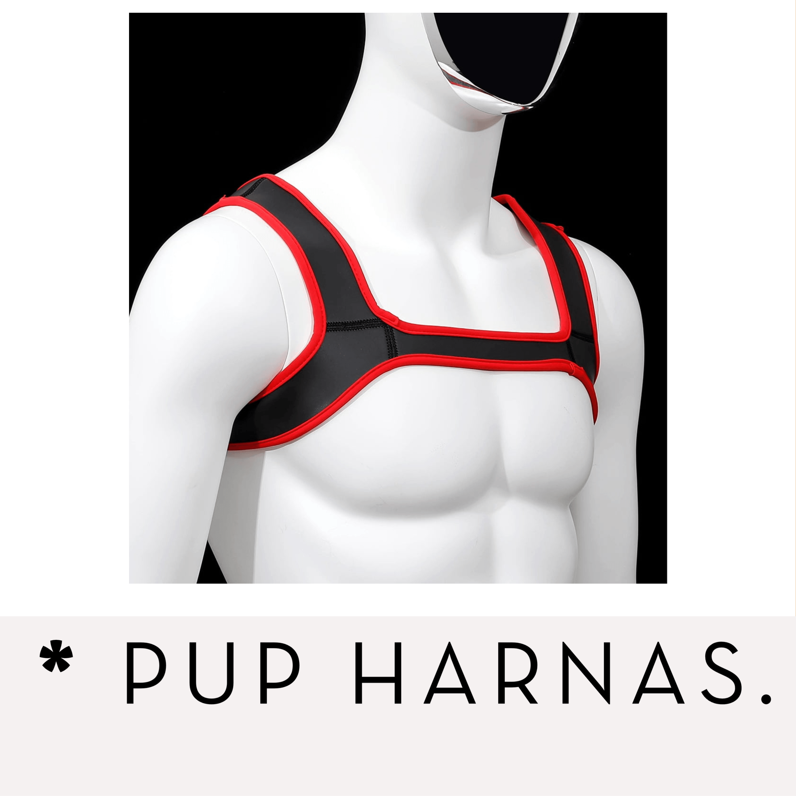Banoch Banner categorie pup harnas