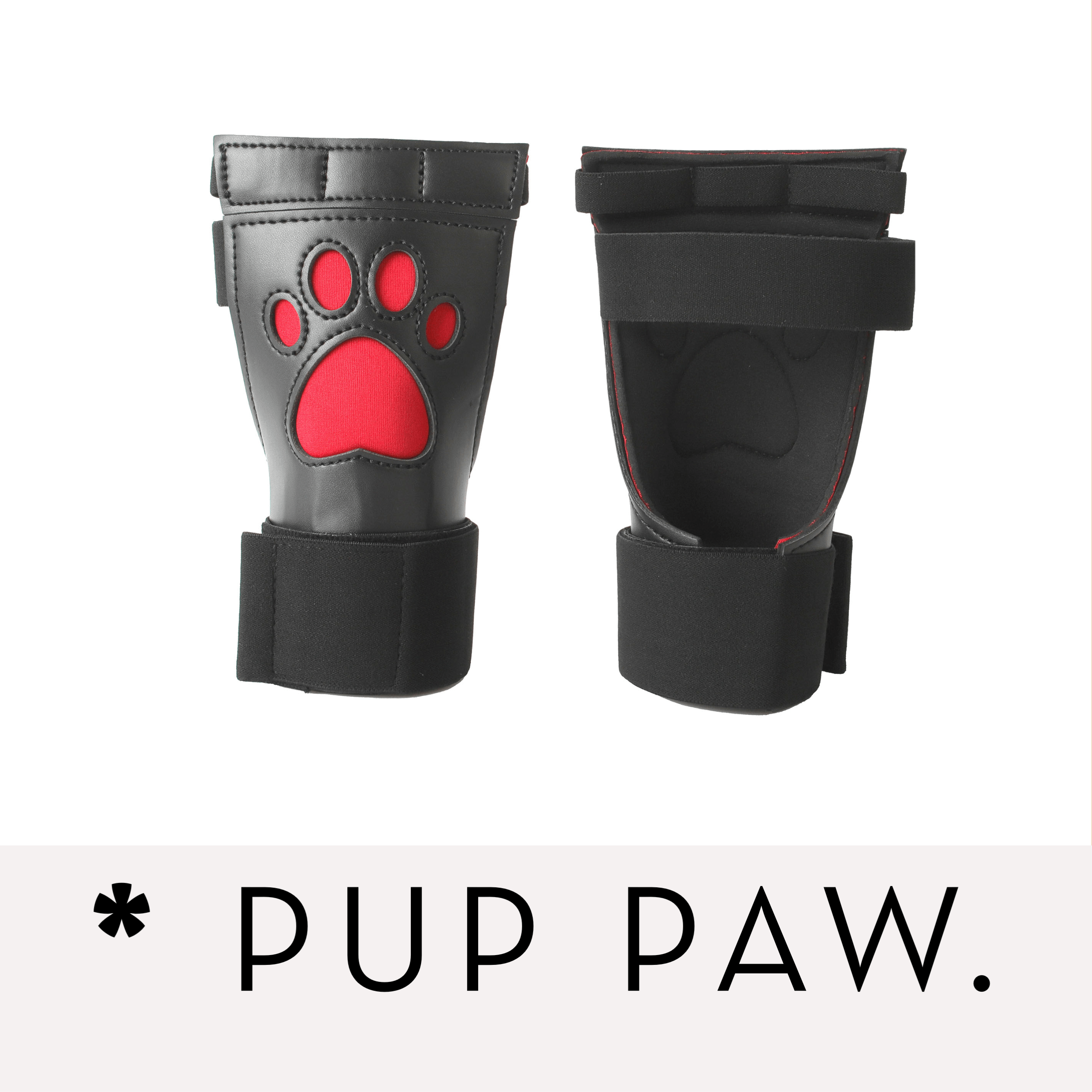 Banoch Banner categorie pup paw