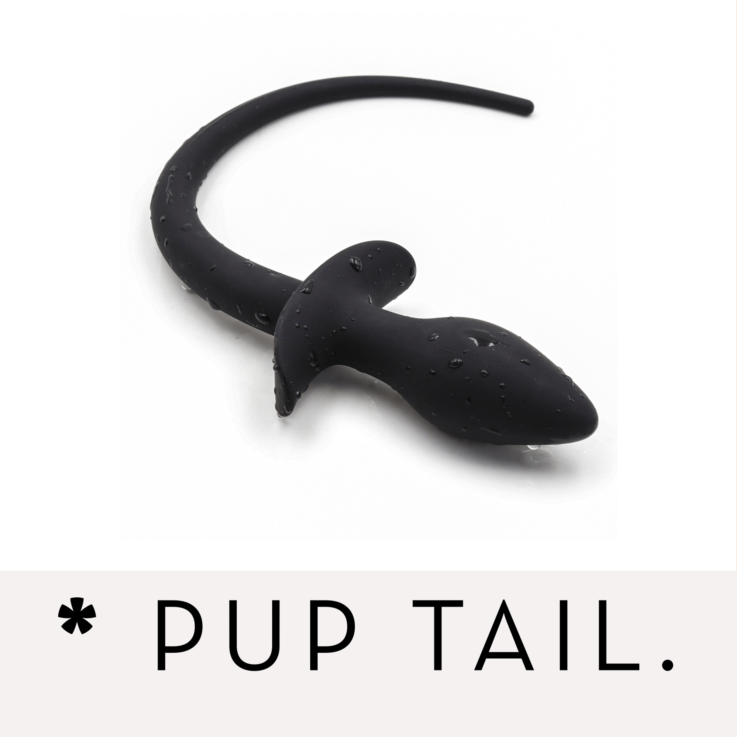 Banoch Banner categorie pup tail
