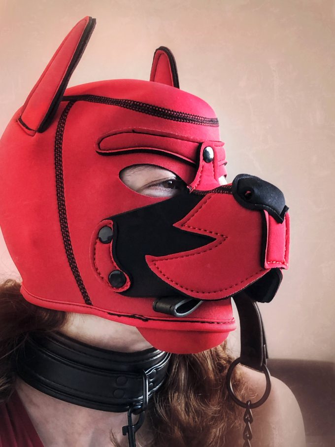 Banoch human puppy play model Darvinetta wearing red neoprene puppy hood with leash in her mouth scaled Banoch human puppy play model Darvinetta wearing red neoprene puppy hood with leash in her mouth scaled
