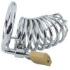 Banoch Cockcage Zilver metaal Chastity Cage met 3 ringen 40 mm, 45 mm & 50 mm (8)