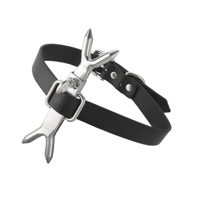 Banoch Heads up verstelbare collar met pin (5) Banoch Heads up verstelbare collar met pin (5)