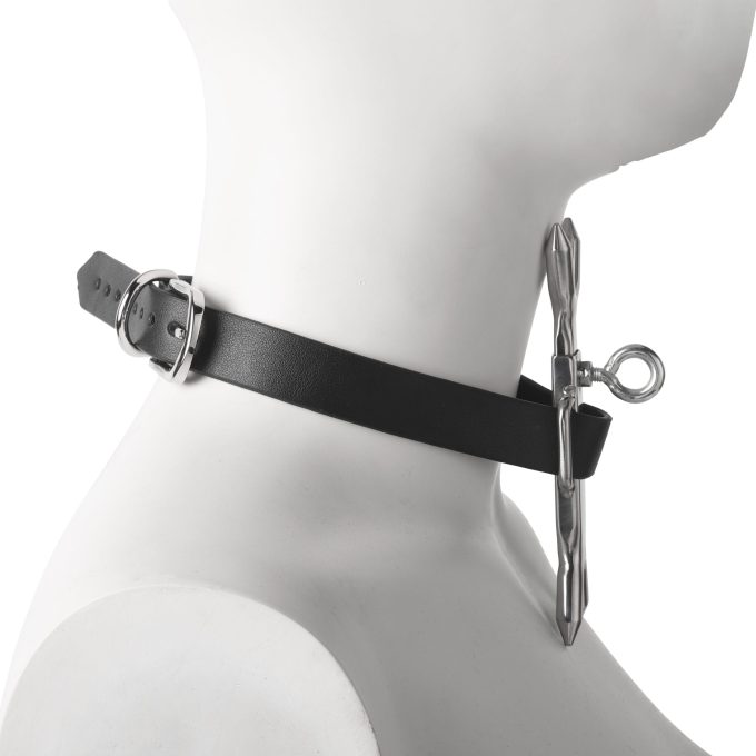 Banoch Heads up verstelbare collar met pin (9) Banoch Heads up verstelbare collar met pin (9)